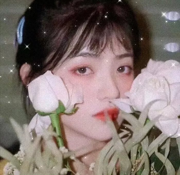 昙花梦